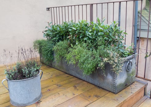 Metal filing cabinet planter